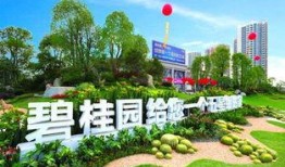 鹿寨碧桂园爆料最新消息,揭秘项目进展与未来规划