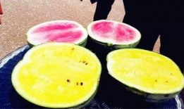 瓜网的最新爆料有哪些,揭秘娱乐圈惊天大事件！