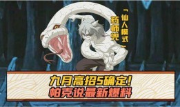 一月高招s最新爆料时间,一月高招最新爆料时间，独家解读招生动态！”