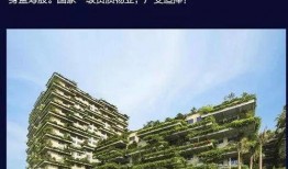 碧桂园爆料最新消息图片,揭秘项目进展与未来规划！”