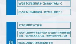 最新爆料见闻报告大全,见闻报告大全深度解析