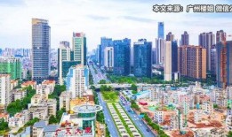 广州惠州最新爆料,揭秘城市新动态与热点事件