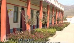 安阳爆料新闻最新消息视频,视频揭露惊人真相，事件引发社会关注