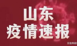山东临沂爆料最新消息视频