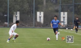 武汉三镇内援最新爆料,转会风云再起，新赛季阵容调整揭秘！”