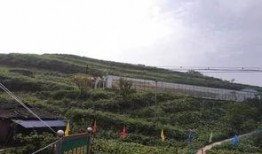 方山吃瓜最新事件爆料,最新爆料揭露惊人内幕