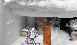 c f最新爆料,揭秘娱乐圈最新动态与幕后真相