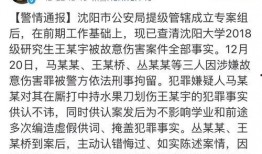 沈阳学生爆料案件最新,校园疑云揭开真相一角