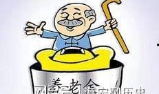 养老金最新爆料,揭秘最新政策调整与影响