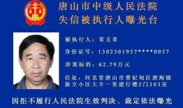 唐山真实爆料案件最新,揭开黑恶势力背后的惊人真相