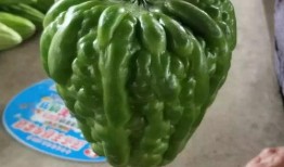 临沂最新瓜爆料,揭秘临沂最新热点事件内幕