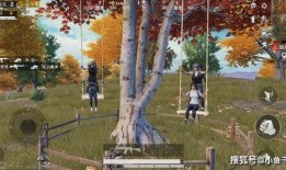 枫丹场景图爆料最新,揭开神秘场景图背后的奇幻世界