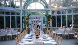 酒店最新爆料大全,揭秘行业背后惊人内幕