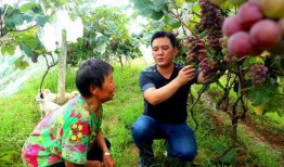 方山吃瓜最新事件爆料,最新爆料揭露惊人内幕