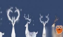 逆水寒最新爆料祥瑞攻略,祥瑞攻略揭秘，解锁神秘祥瑞助力战力飙升