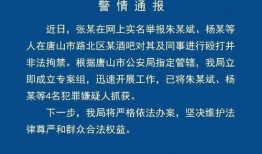 唐山真实爆料案件最新,揭开黑恶势力背后的惊人真相