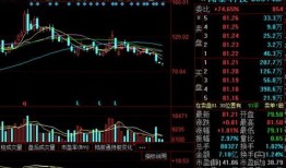 闻泰科技最新爆料信息网,揭秘芯片巨头最新动态与战略布局