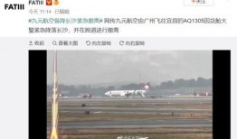 飞机最新爆料视频,尖端科技与未来飞行体验一窥究竟