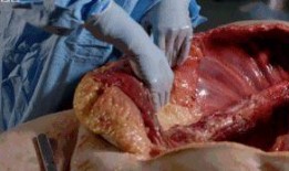 吃瓜最新事件爆料解剖,最新爆料背后的真相与内幕