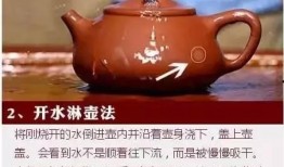 紫砂壶最新爆料