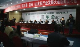 西安蓝田县最新爆料新闻,揭秘神秘事件背后的真相