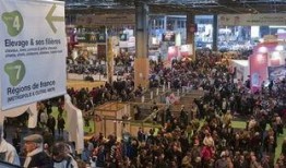 会展中心最新爆料,会展中心最新爆料抢先看